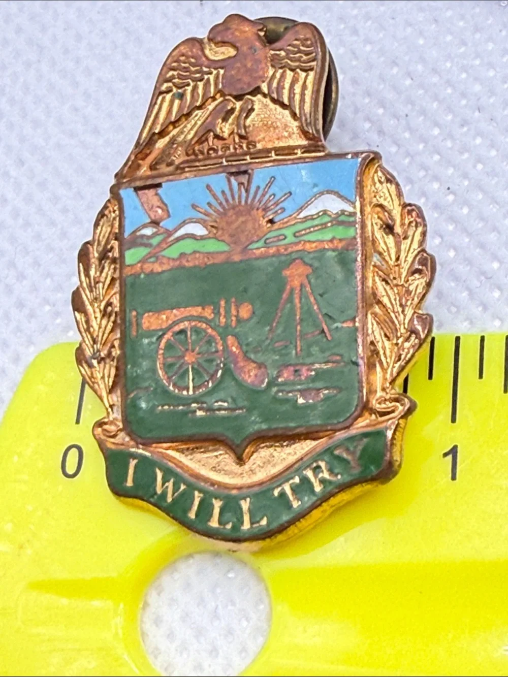 Vintage Enamel Military style Crest Pin eagle Green and Blue Shield enamel